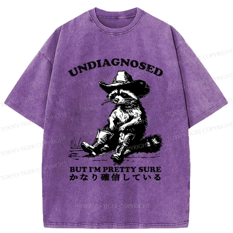 Tokyo-Tiger Confirmed Raccoon Washed T-Shirt