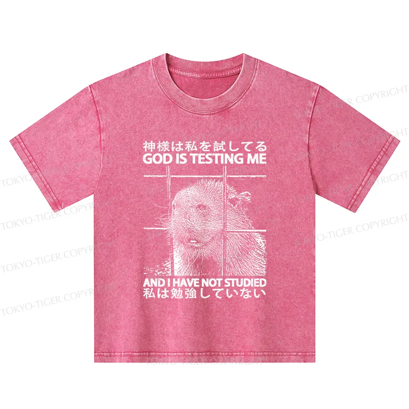Tokyo-Tiger God Is Testing Me Kids Washed T-Shirt
