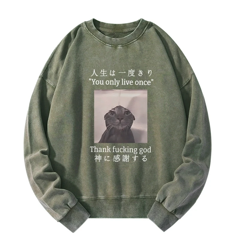 Tokyo-Tiger Funny Melancholy Cat Washed Sweatshirt