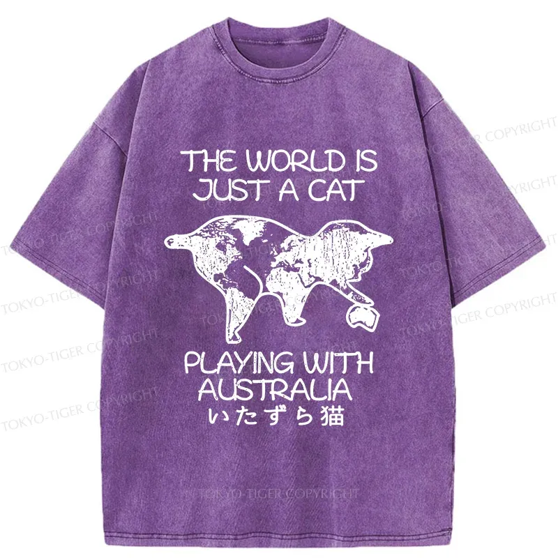 Tokyo-Tiger Funny World With Cat Washed T-Shirt