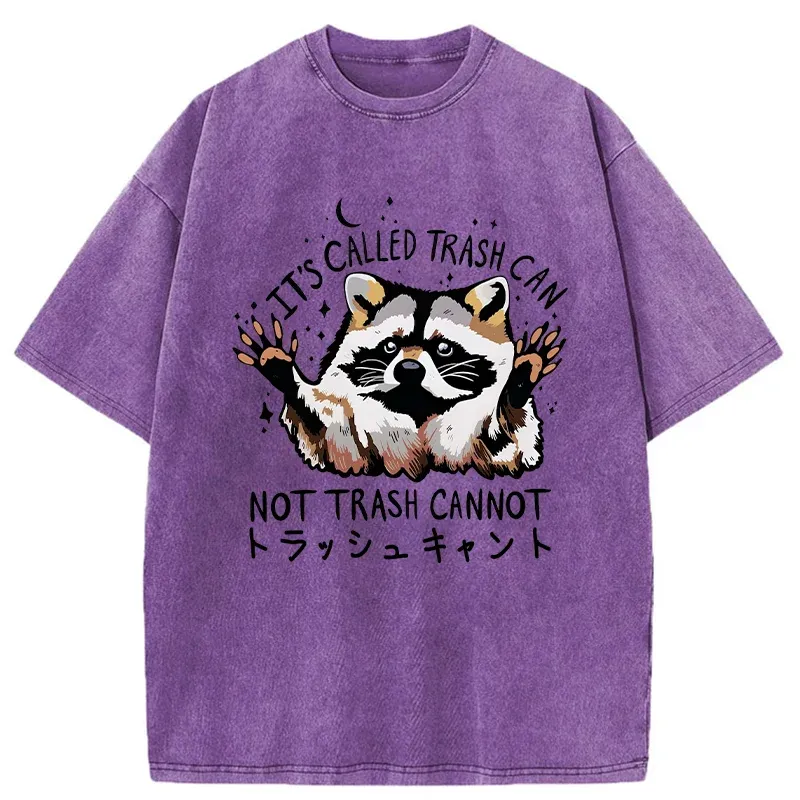 Tokyo-Tiger Adorable Raccoon Washed T-Shirt