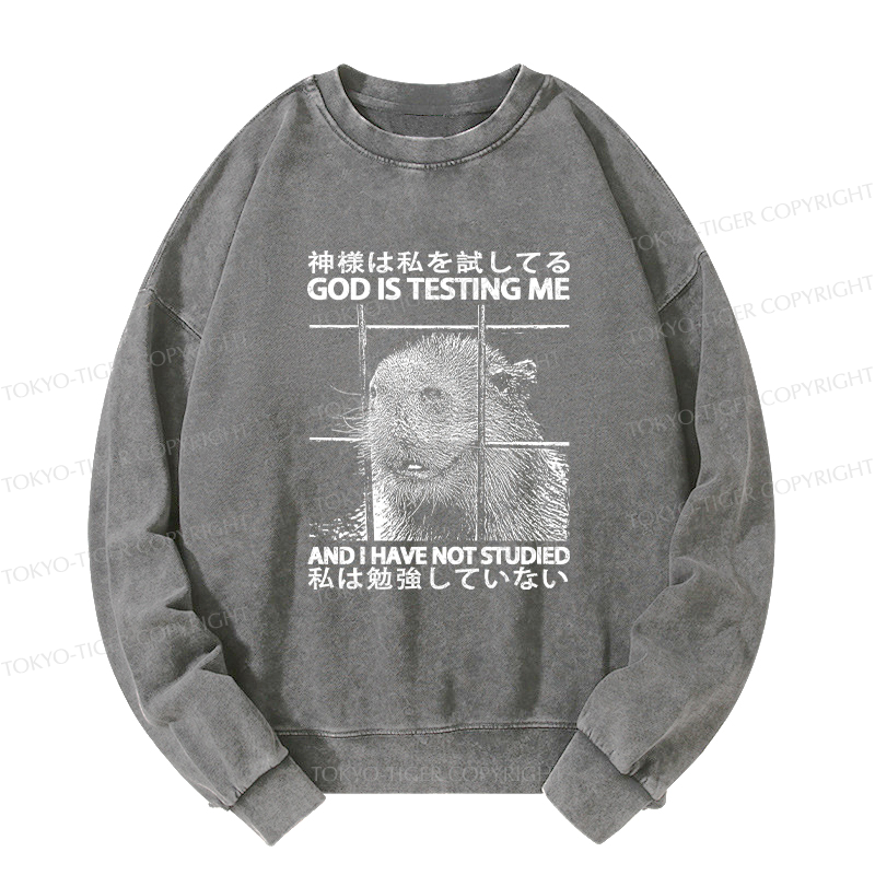 Tokyo-Tiger God Is Testing Me Washed Sweatshirt