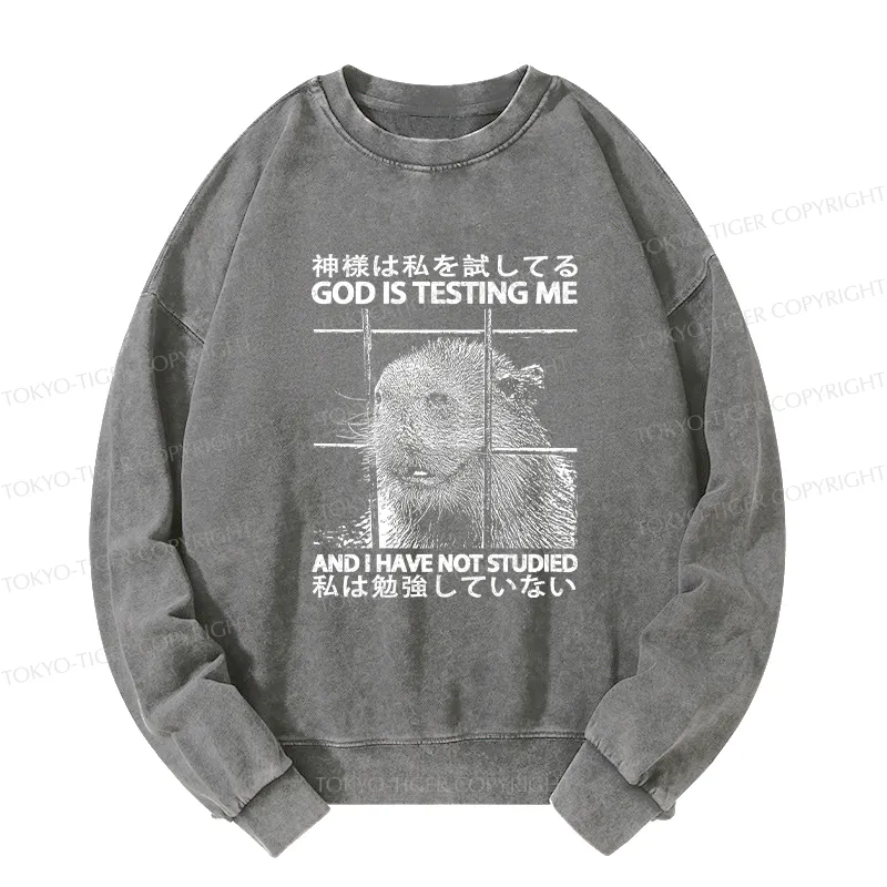 Tokyo-Tiger God Is Testing Me Washed Sweatshirt