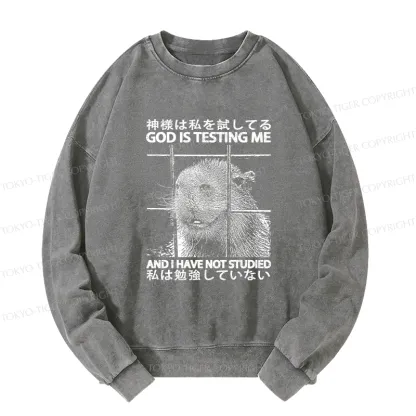 Tokyo-Tiger God Is Testing Me Washed Sweatshirt