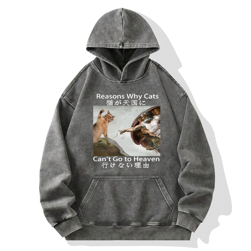 Tokyo-Tiger Naughty Cat Can't Go To Heaven Washed Hoodie