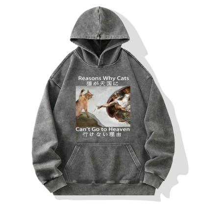 Tokyo-Tiger Naughty Cat Can't Go To Heaven Washed Hoodie