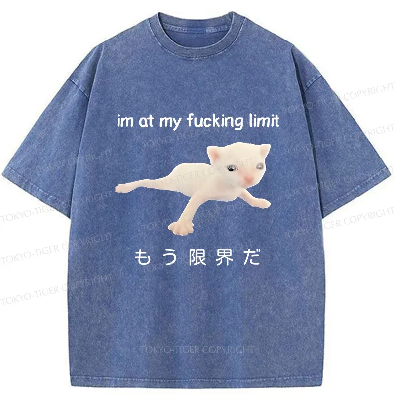 Tokyo-Tiger Cat Reaching Its Limit Washed T-Shirt
