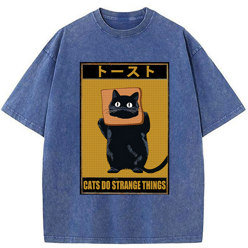 Tokyo-Tiger Toast Black Cat Washed T-Shirt