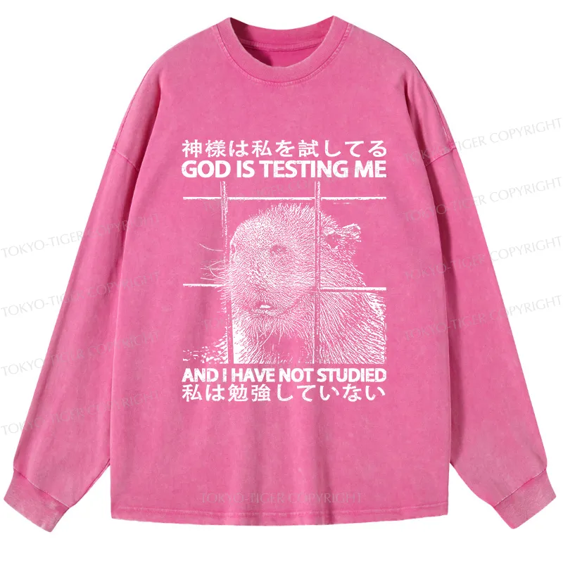 Tokyo-Tiger God Is Testing Me Washed Long Sleeve T-Shirt