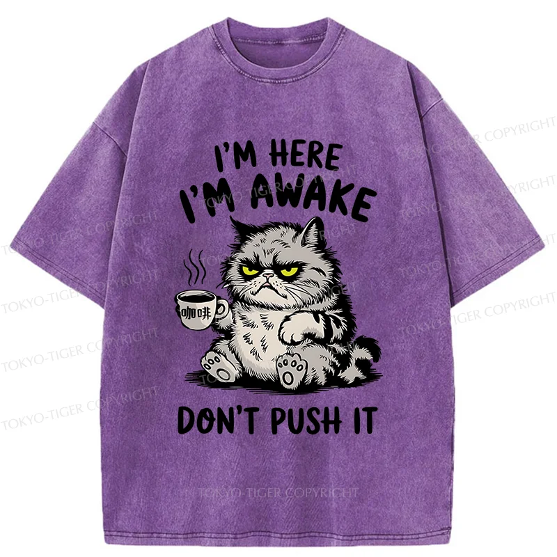 Tokyo-Tiger Tired Cat Washed T-Shirt