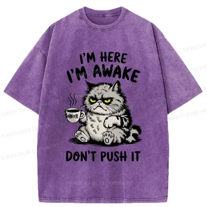 Tokyo-Tiger Tired Cat Washed T-Shirt