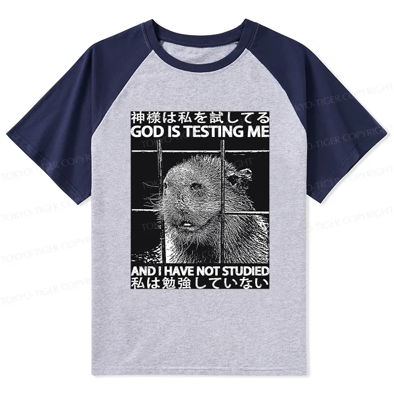 Tokyo-Tiger God Is Testing Me Raglan T-shirt