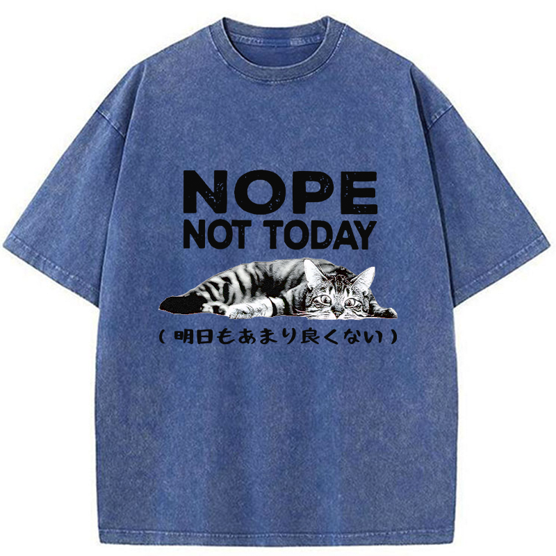 Tokyo-Tiger Every Day Won't Be So Good Washed T-Shirt