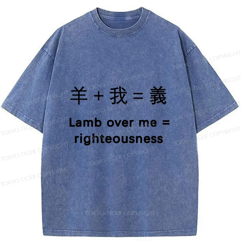 Tokyo-Tiger Constitution Of Justice Washed T-Shirt