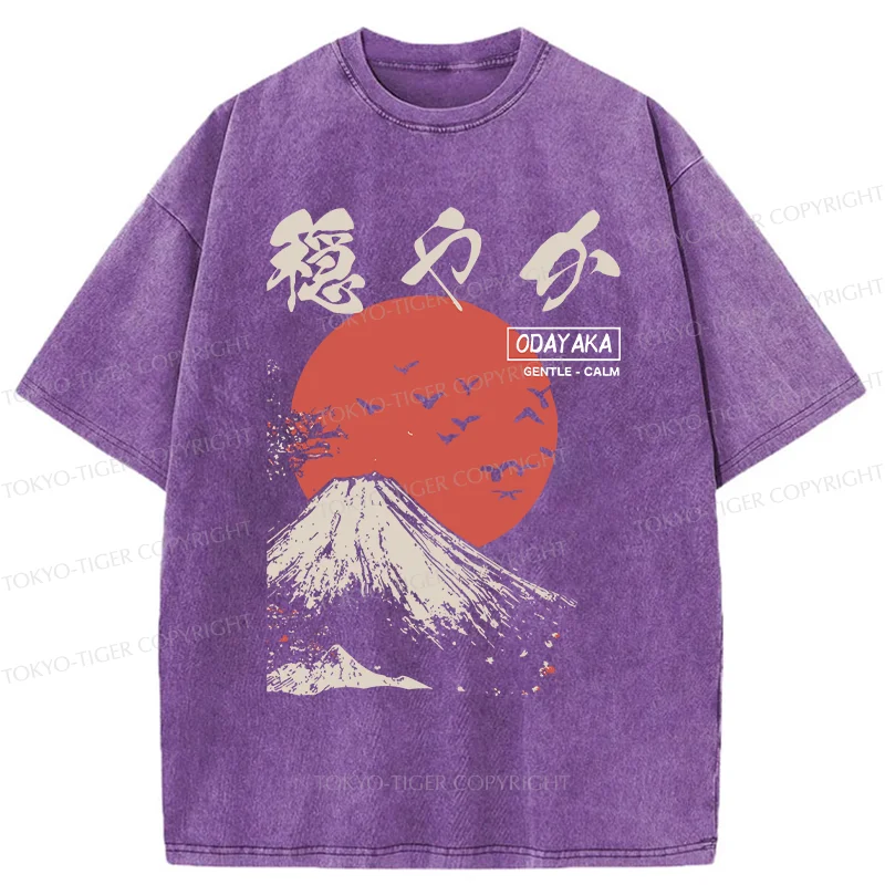 Tokyo-Tiger Japan Mount Fuji Retro Washed T-Shirt