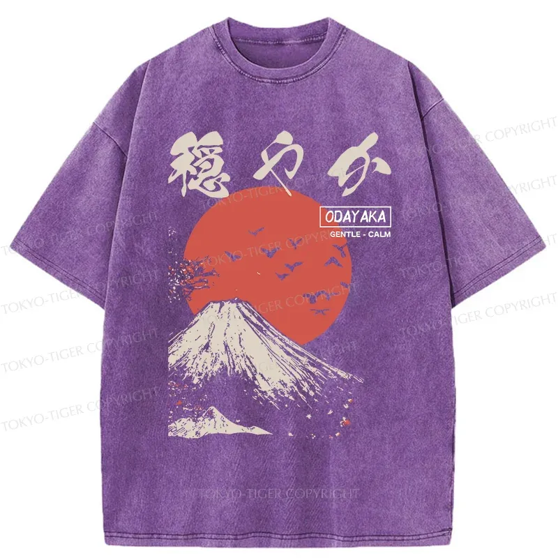 Tokyo-Tiger Japan Mount Fuji Retro Washed T-Shirt