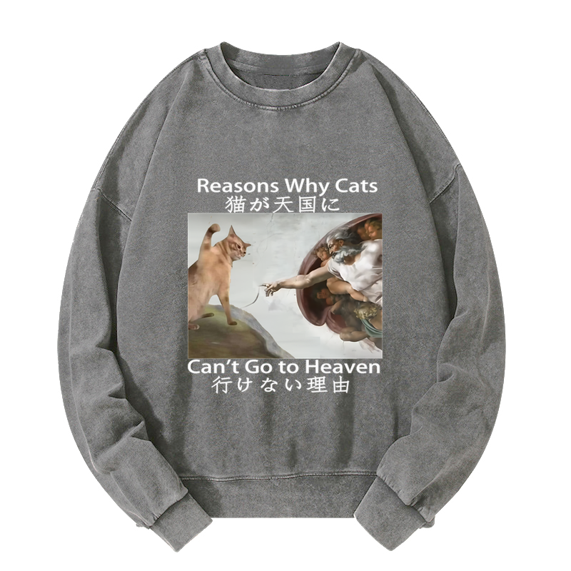 Tokyo-Tiger Naughty Cat Can't Go To Heaven Washed Sweatshirt