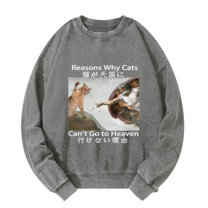 Tokyo-Tiger Naughty Cat Can't Go To Heaven Washed Sweatshirt