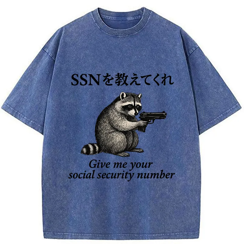 Tokyo-Tiger Raccoon Funny Meme Washed T-Shirt