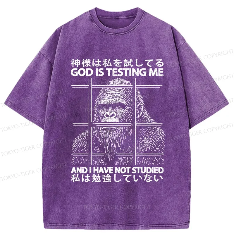 Tokyo-Tiger Funny God Is Testing Me Washed T-Shirt