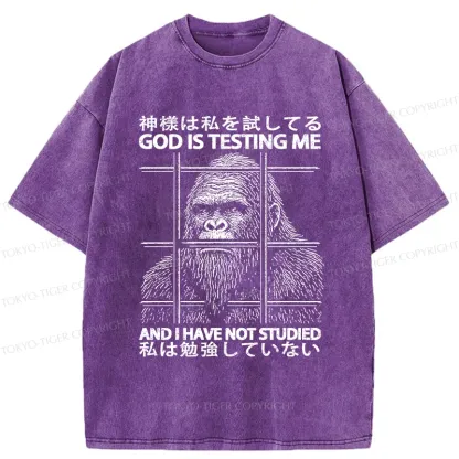 Tokyo-Tiger Funny God Is Testing Me Washed T-Shirt