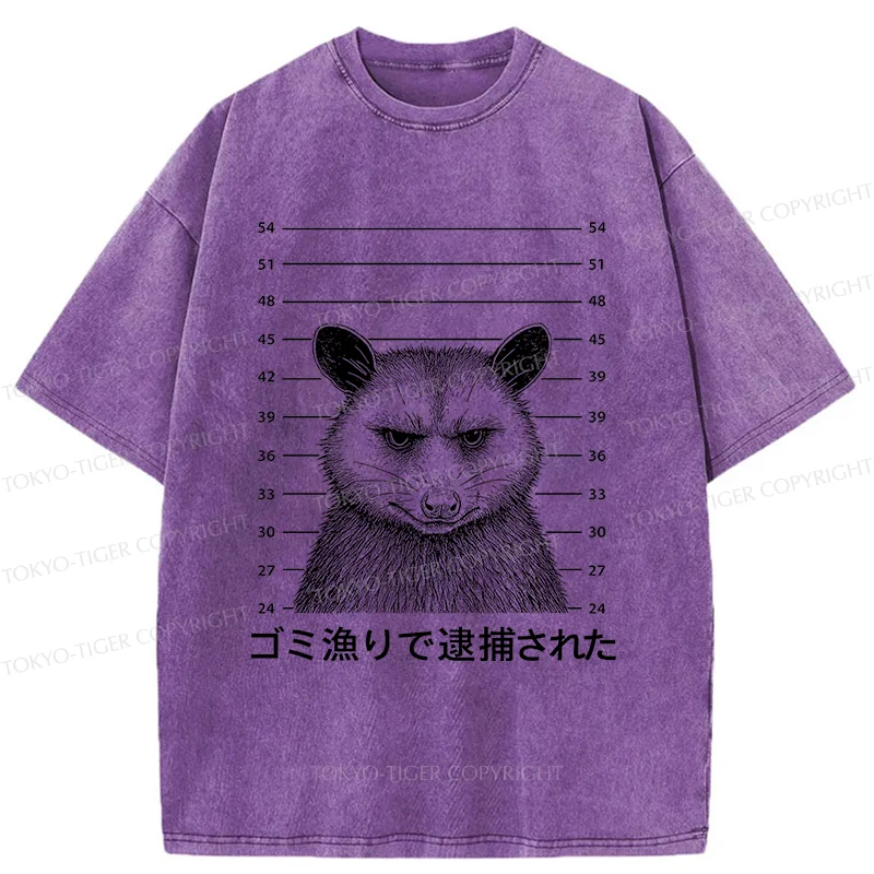 Tokyo-Tiger Captured Possum Washed T-Shirt