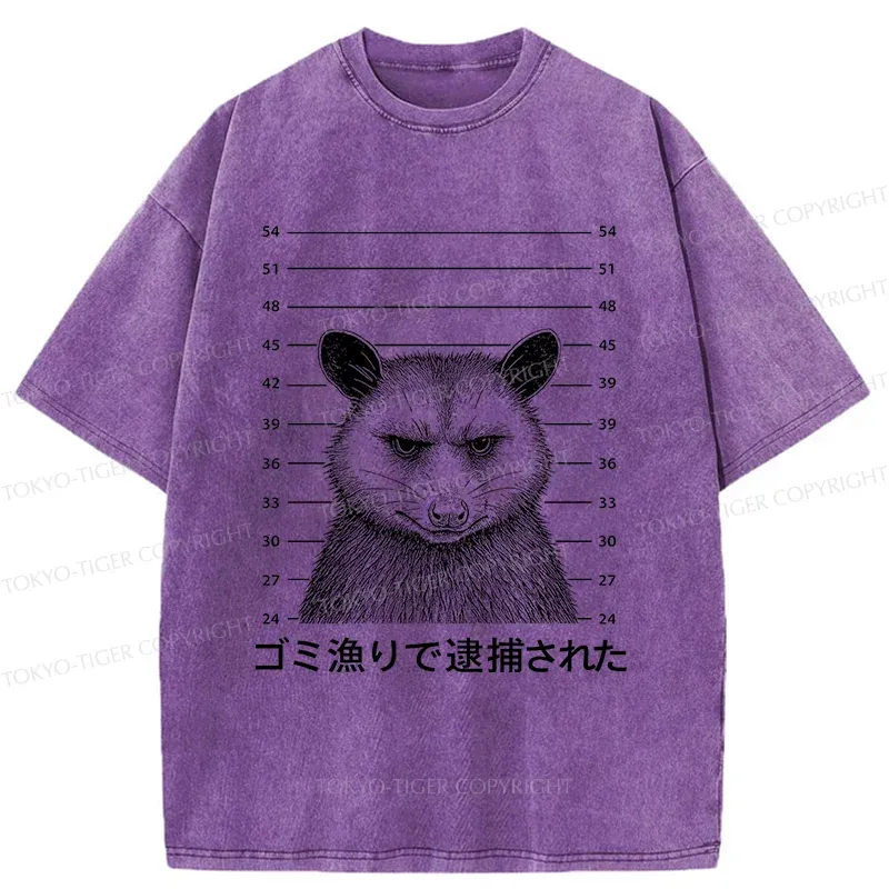 Tokyo-Tiger Captured Possum Washed T-Shirt