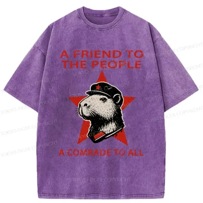 Tokyo-Tiger Capibalism Funny Washed T-Shirt