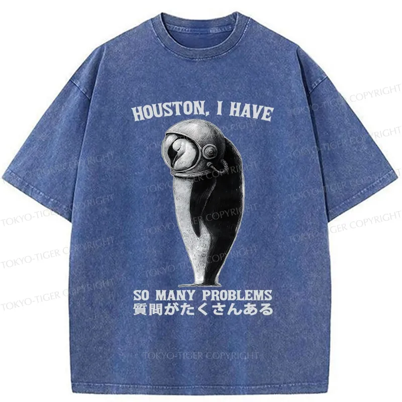 Tokyo-Tiger I Have So Many Problems Washed T-Shirt