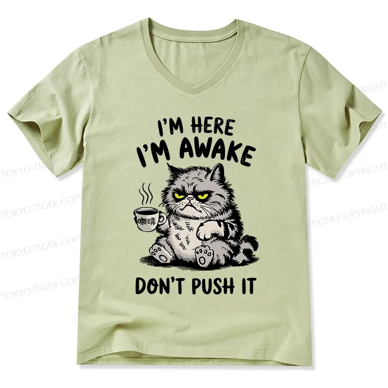 Tokyo-Tiger Tired Cat V-Neck Classic T-Shirt