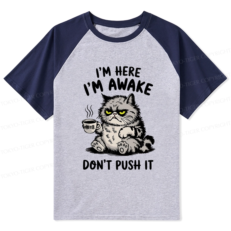 Tokyo-Tiger Tired Cat Raglan T-shirt