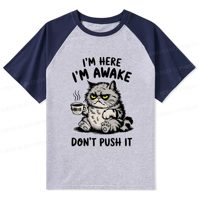 Tokyo-Tiger Tired Cat Raglan T-shirt