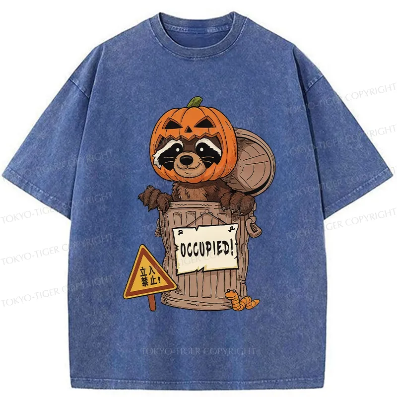 Tokyo-Tiger Funny Raccoon’s Halloween Retreat Washed T-Shirt
