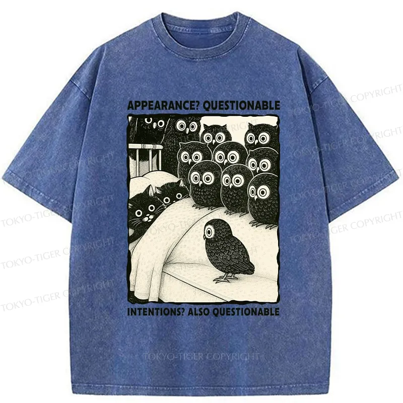 Tokyo-Tiger Appearance And Intentions Questionable Washed T-Shirt