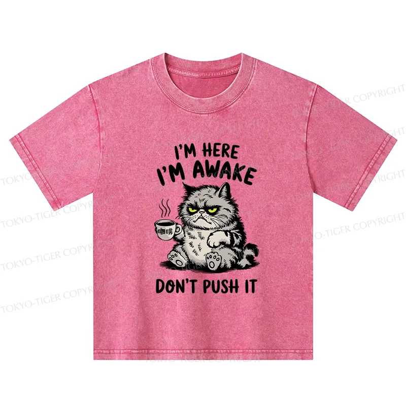 Tokyo-Tiger Tired Cat Kids Washed T-Shirt