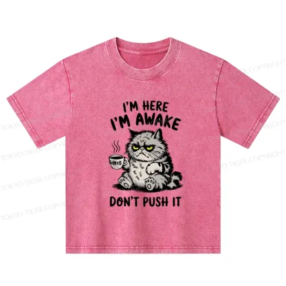 Tokyo-Tiger Tired Cat Kids Washed T-Shirt