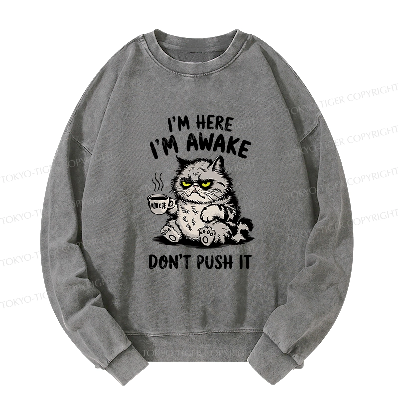 Tokyo-Tiger Tired Cat Washed Sweatshirt