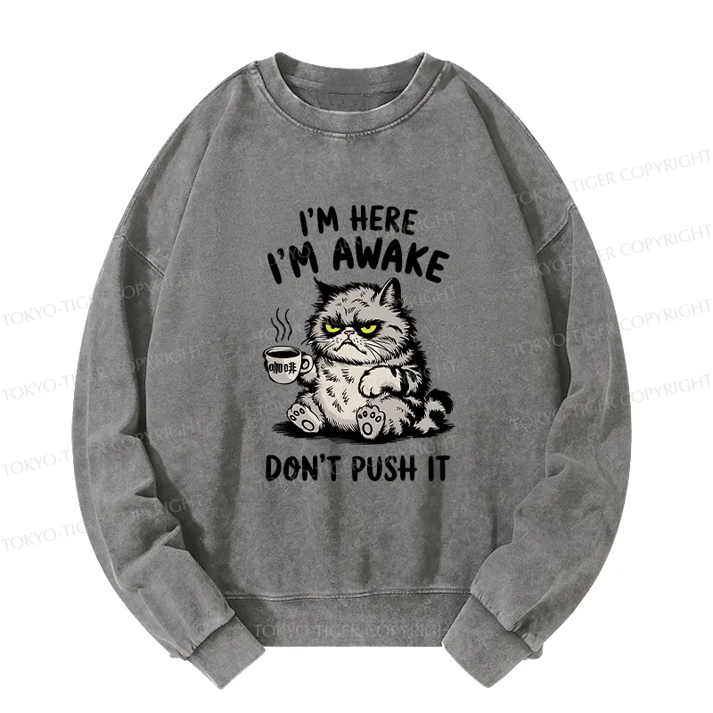 Tokyo-Tiger Tired Cat Washed Sweatshirt