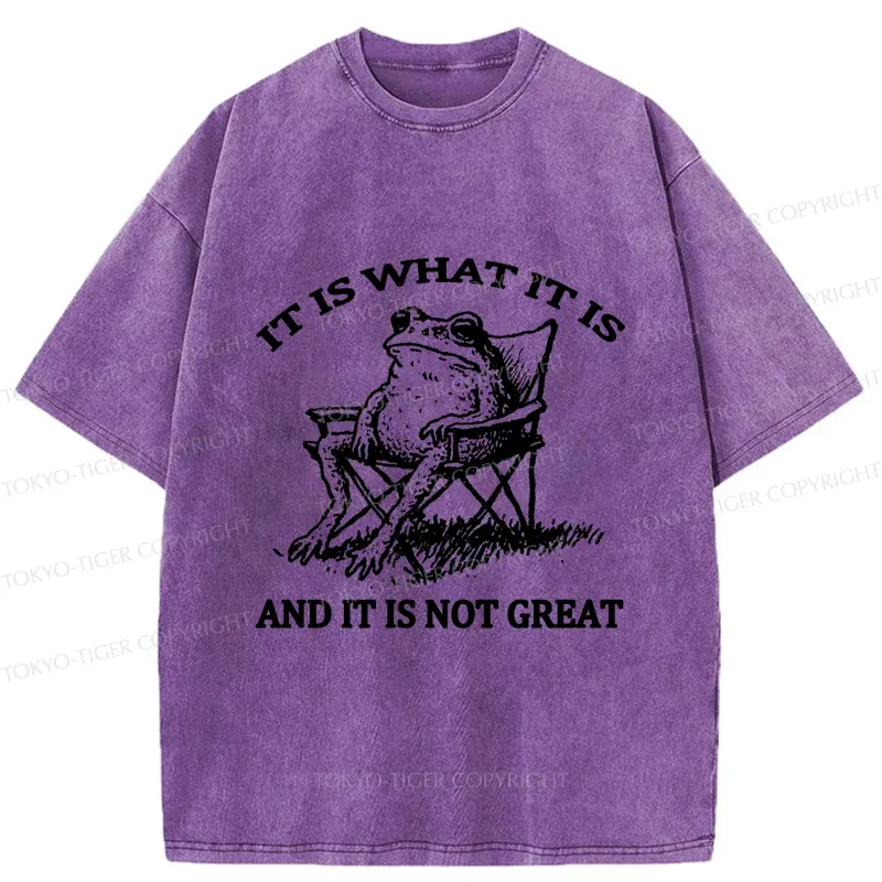 Tokyo-Tiger Resting Frog Funny Washed T-Shirt