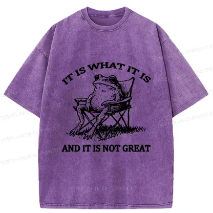 Tokyo-Tiger Resting Frog Funny Washed T-Shirt