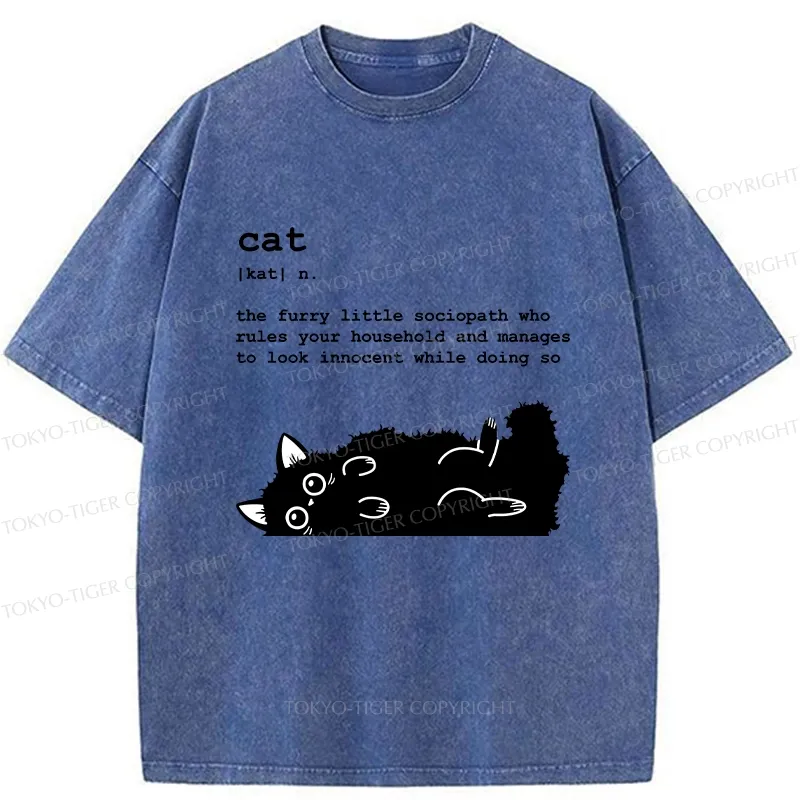 Tokyo-Tiger Definition Of Cat Funny Washed T-Shirt