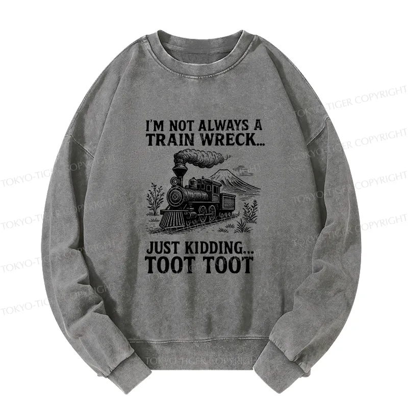 Tokyo-Tiger Funny Train Jokes Washed Sweatshirt