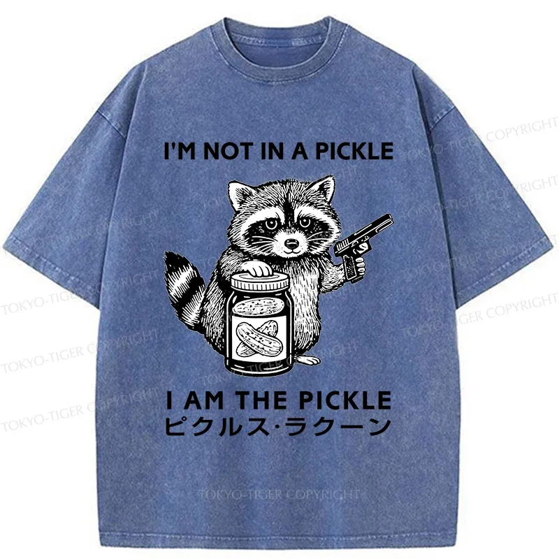 Tokyo-Tiger Funny Raccoon Washed T-Shirt