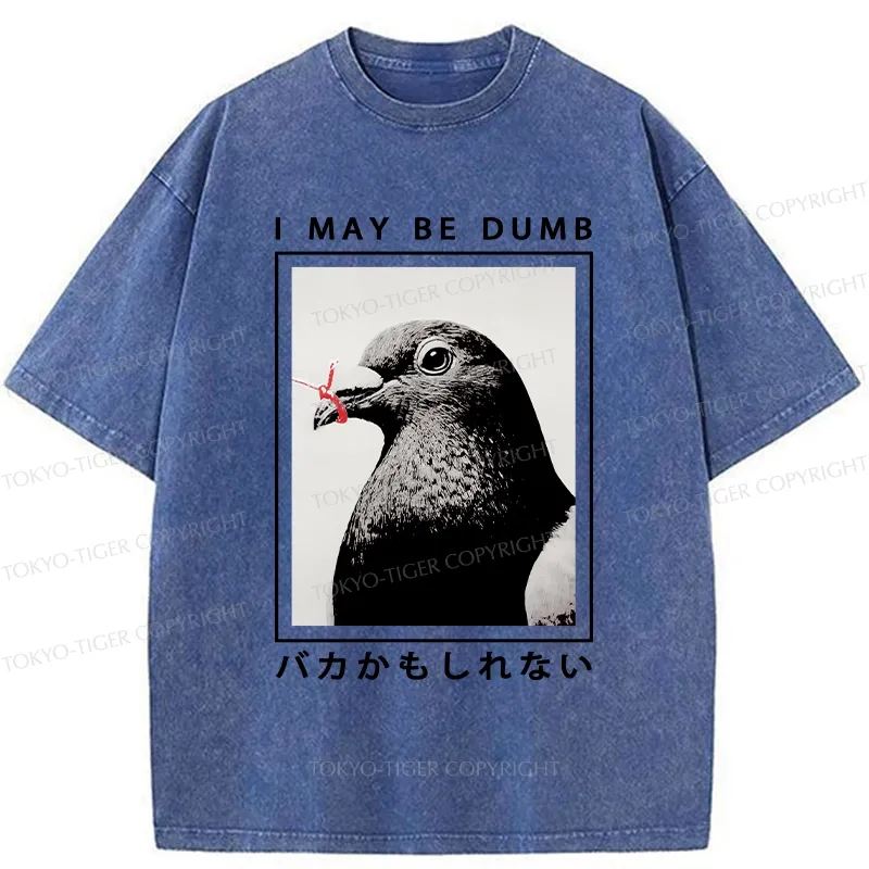 Tokyo-Tiger I May Be Dumb Funny Washed T-Shirt