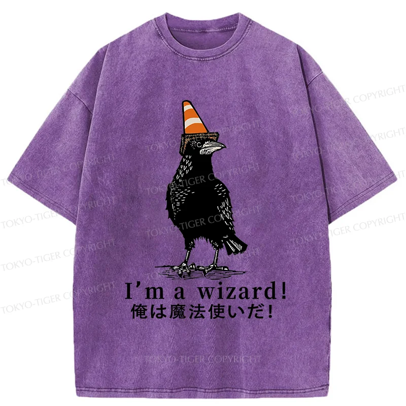 Tokyo-Tiger Magic Crow Washed T-Shirt