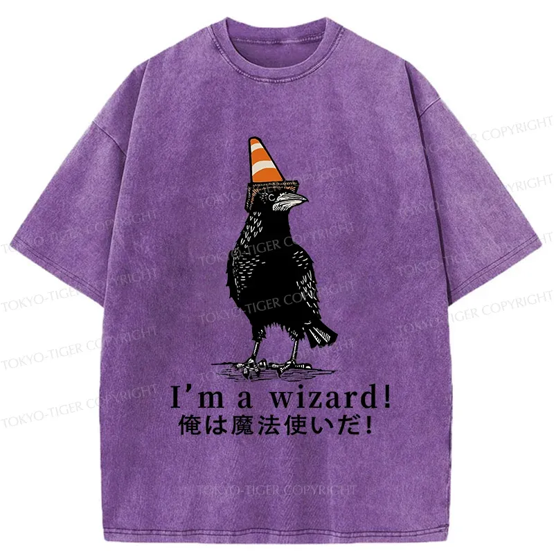 Tokyo-Tiger Magic Crow Washed T-Shirt