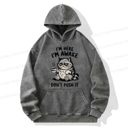 Tokyo-Tiger Tired Cat Washed Hoodie