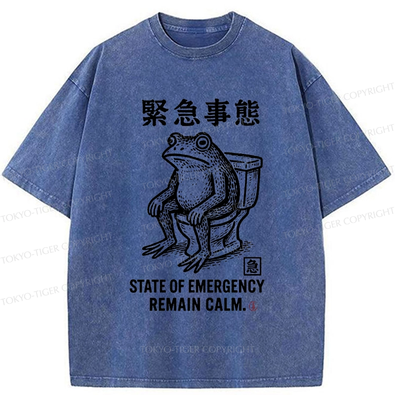 Tokyo-Tiger Funny Remain Calm Frog Washed T-Shirt