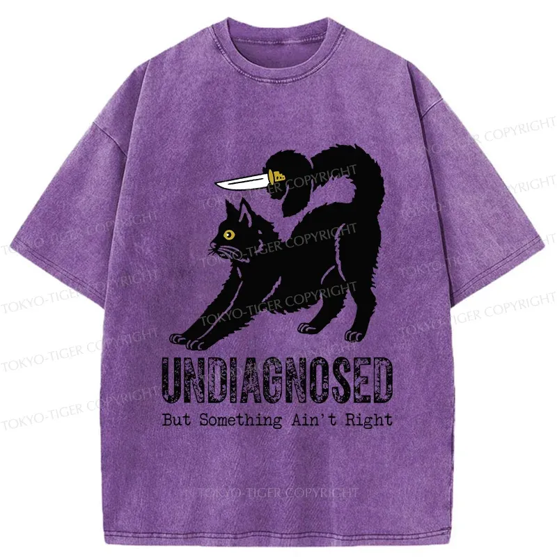 Tokyo-Tiger Cat With Knife Washed T-Shirt