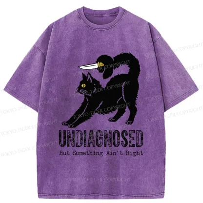 Tokyo-Tiger Cat With Knife Washed T-Shirt